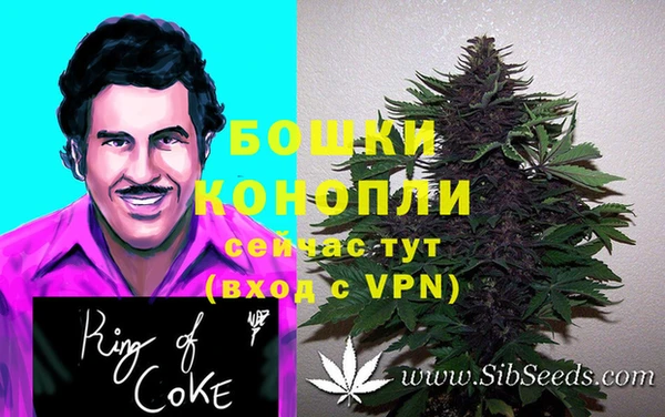 первитин Белоозёрский