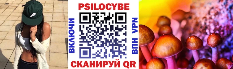 мега как войти купить наркотик Вольск Псилоцибиновые грибы GOLDEN TEACHER